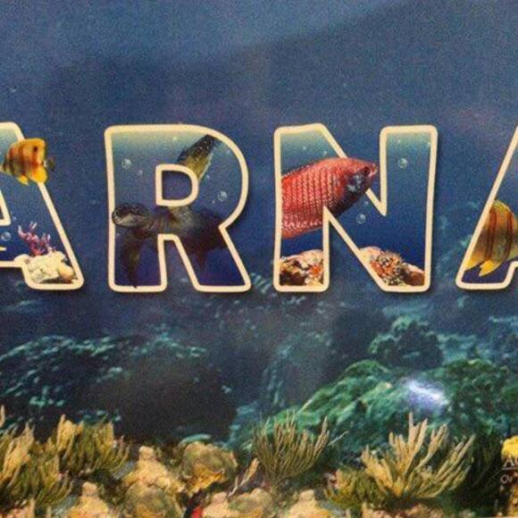 arna_vargas